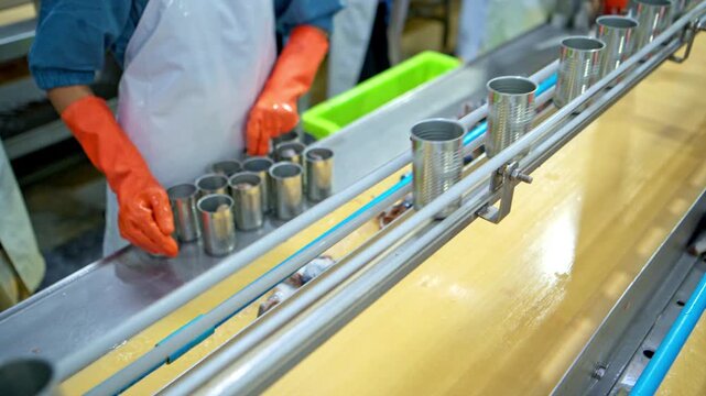 Workers packing sardines into cans, part of the process and production line in a canned fish factory