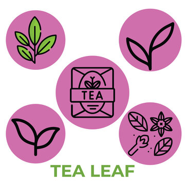 Minimal Coffee Bean, Coffee Pot, and Tea Leaf Icon Set for Beverage Design