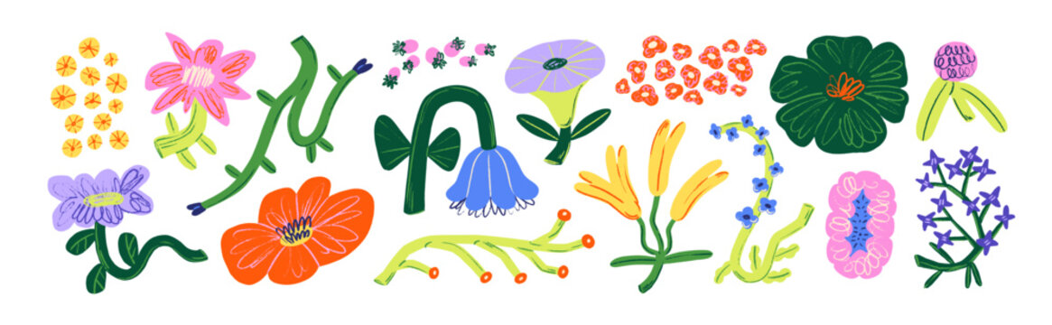 Flowers drawn in modern style. Whimsical doodle floral shapes, blooming plants, scribble blossoms, branches. Creative exotic botanical art. Flat vector illustrations isolated on white background