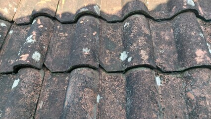 Weathered clay roof tiles with moss texture. Rustic building material and aged surface pattern. © M MUSHTHOFA MAHFUD