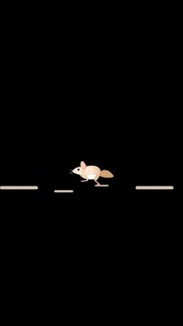Cute Pastel Dunnart Marsupial Scuttling Loop