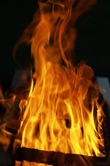 Fototapeta premium Dramatic Close-Up of Flames in a Fire Pit Blazing in the Dark Night