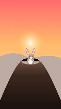 Bashful Burrowing Bilby Emerging From Dirt Hole Animation