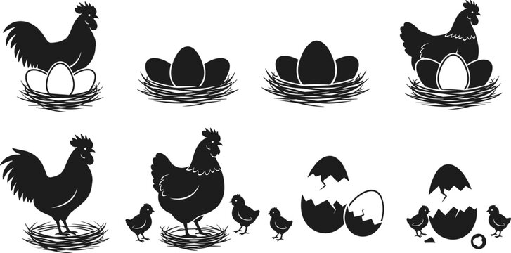 Collection of poultry life cycle silhouettes featuring hen and rooster with eggs in nests and hatching baby chicks for organic farm branding and agricultural education vector illustration projects.
