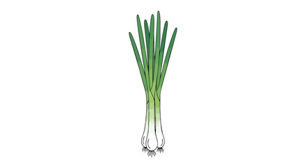 Obraz premium Vibrant fresh green onions illustration healthy culinary ingredient for gourmet dishes kitchen preparations ideal for recipe visuals food blogs