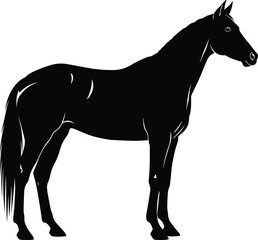 Obraz premium Elegant black horse silhouette standing in profile on white background, minimalist animal vector illustration for design and decor