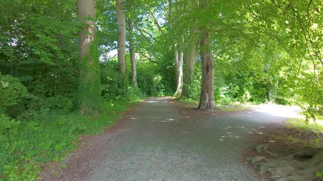 First-person view moving along a beautiful gravel trail through lush green woods towards a lake.