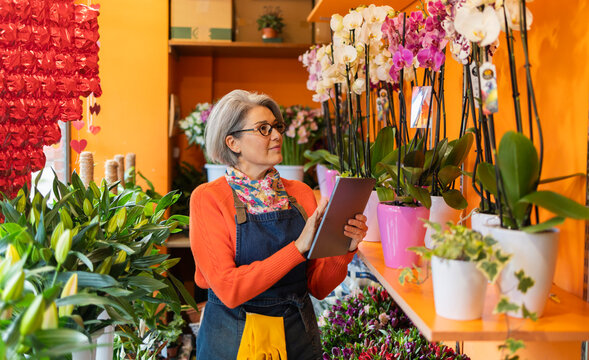 Florist in apron using tablet while organizing plants in flower shop