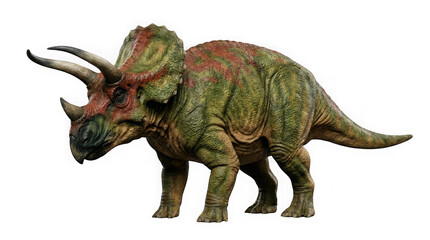 Fototapeta premium Triceratops portrait a majestic herbivore from the late cretaceous period