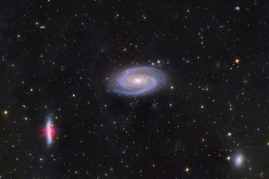 Bode galaxy and cigar galaxy in Ursa Major constellation night sky