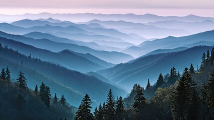 Obraz premium Misty Smoky Mountain ridges at dawn among evergreen pines