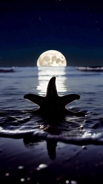Starfish silhouette on beach at night under moonlight shows mysterious nature this is a great calm and dark ocean scene this is a very peaceful and romantic travel landscapestarfish