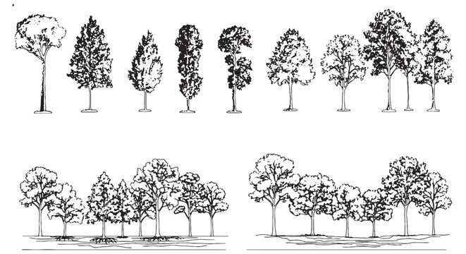 Seasonal Trees Vector Pack &ndash; Winter, Forest & Park CAD Illustration