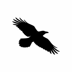Fototapeta premium crow silhouette vector