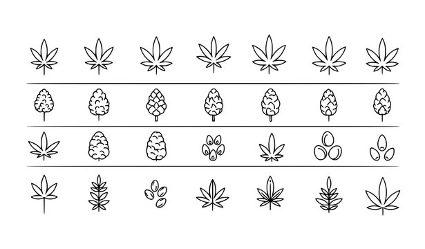 Minimal cannabis botanical icons vector set with hemp leaves buds and clean outline plant elements