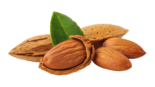 Several whole almonds with textured brown shells and a single vibrant green almond leaf, isolated on transparent background for healthy food promotions