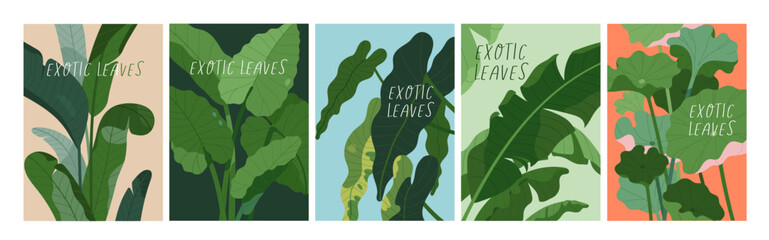 Exotic leaf plants, botanical cards set. Tropical leaves, foliage posters. Green vegetation, greenery, floral nature backgrounds with typography. Flora postcards. Flat vector illustrations