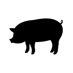 Fototapeta premium A monochrome silhouette of a domestic pig standing on a white background