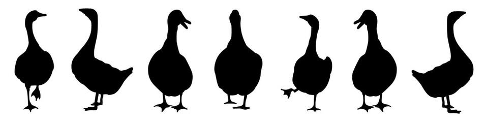 Seven black goose silhouettes in various poses on transparent background, perfect for farm animal designs and graphic elements. © SAYEMART