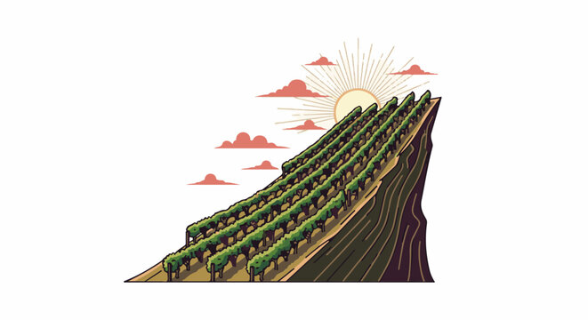 Terraced vineyard on a mountainside under a rising sun and clouds