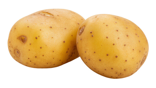 Two rough oval light-brown potatoes with numerous small brown speckles, isolated on transparent background for culinary and agricultural designs