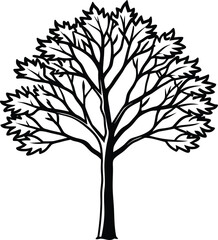 Obraz premium Detailed Black Silhouette of a Leafy Tree white illustration