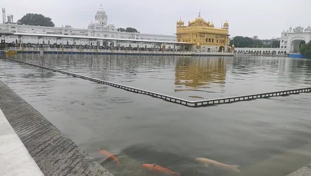 Beautiful view of Golden Temple - Harmandir Sahib in Amritsar, Punjab, India, Famous indian sikh landmark, Golden Temple, the main sanctuary of Sikhs in Amritsar, India