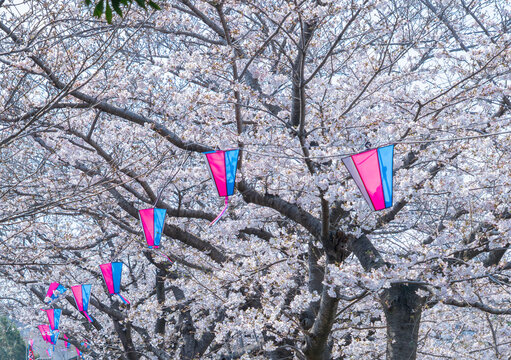 イル ID : 1968211019 - 元のファイル名 : 