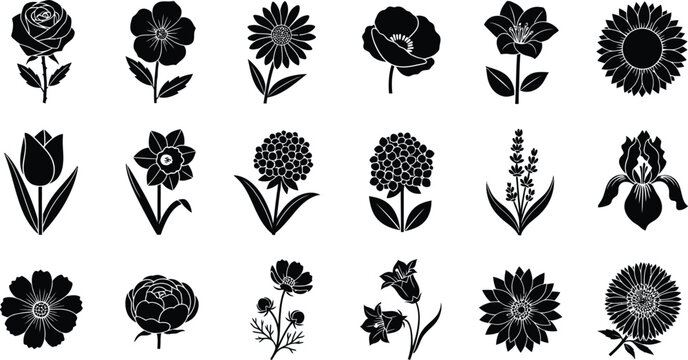 Collection of black silhouette flower on white background rose poppy daisy