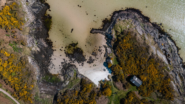 Aerial view of the rugged coastline with its golden gorse bushes meets the sandy beach, Isle of Gigha, Argyll and Bute, Scotland.