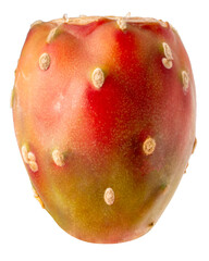 Bright red cactus fruit isolated on white background, fresh succulent fruit with vibrant color and natural texture, minimal food and botanical concept.