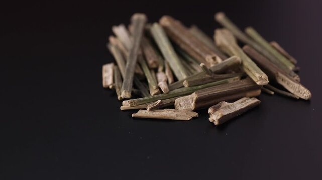 Andrographis paniculata - Green chiretta