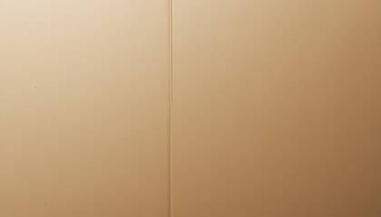 Fototapeta premium Cardboard textures with soft light gradient, abstract packaging background.
