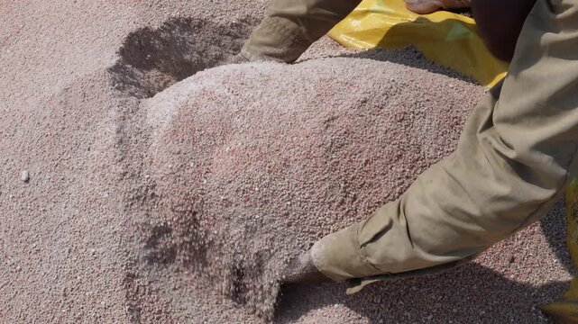 Agricultural Nitrogen, Phosphorus, and Potassium mineral fertilizer granules 