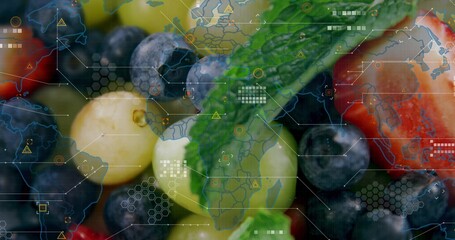 Showing blueberries, currants and strawberry tip with mint sprig and water drops in studio HUD © vectorfusionart