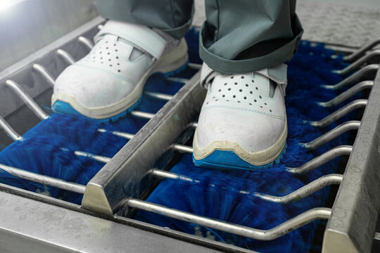 Automatic footwear disinfection station in a food processing plant