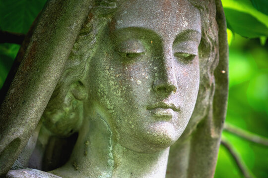 Aphrodite statue surrounded by greenery, symbolizing feminine beauty, tenderness, and love in a soft natural atmosphere.