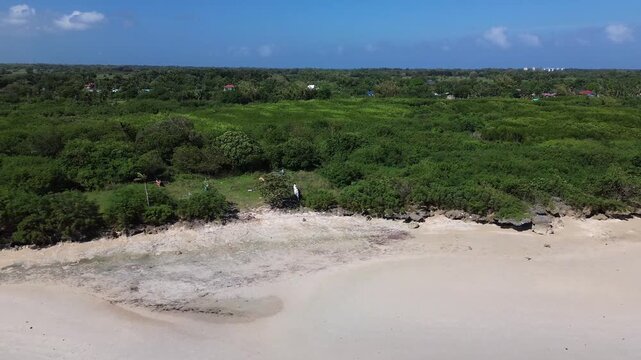 Aerial view of traditional Bangka boats resting on green grass near a tropical beach surrounded by dense vegetation creating an unusual coastal scene on Bantayan Island Philippines.
Untouched Nature.
