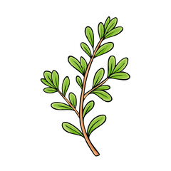 Obraz premium Stylized illustration of a delicate green branch with small oval leaves hand drawn on a white background