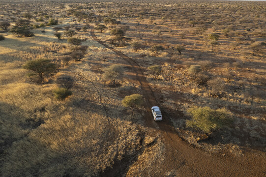 Aerial view of a lone white car traversing a dusty path through the arid landscape, where golden grasses meet scattered trees under the African sun, Windhoek, Namibia.