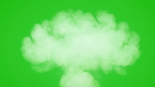 Realistic White Smoke Explosion and Fog Cloud on Green Screen