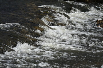 Fototapeta premium Flowing water in natural river over stones
