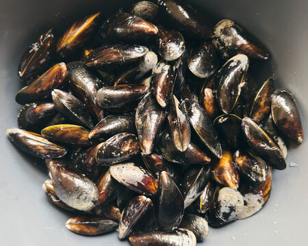 Close up view from above of fresh, wet mussels in shells in gray bowl
