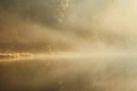 Ethereal sunlight piercing delicate fog over tranquil morning lake, Prebersee Lake, Austria
