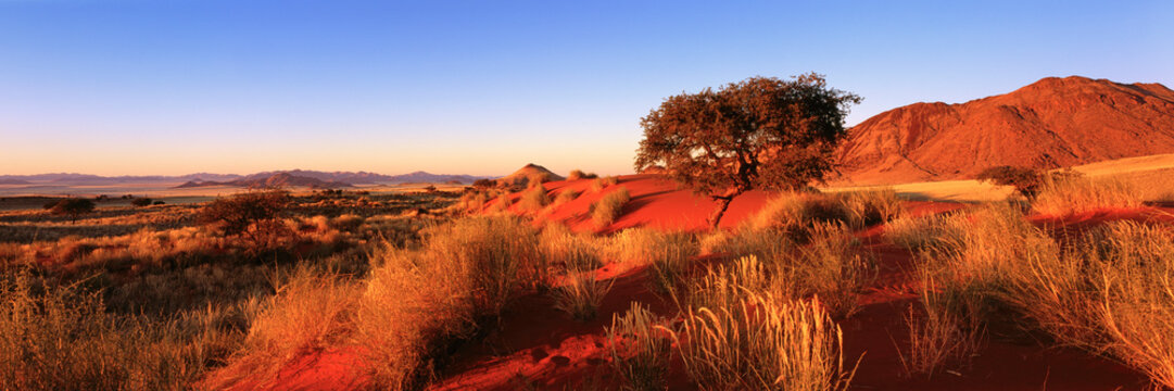 Majestic panoramic desert landscape at sunset, Tok Tokkie Trail, Namibia
