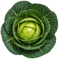 Obraz premium Fresh green cabbage with tightly packed leaves isolated on transparent background