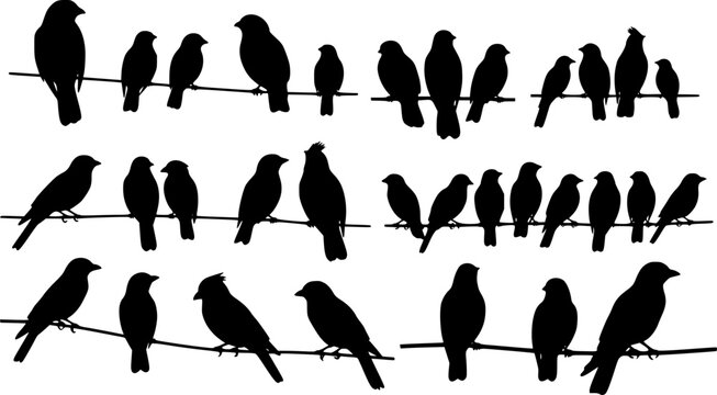 Wildlife. Silhouettes of birds sitting on wires. Vector illustration

