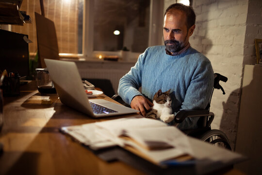 Man in wheelchair working from home with cat at night