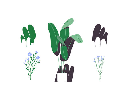 Fashion illustration