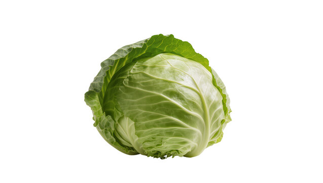 Fresh vibrant green Savoy cabbage head with tightly layered leaves showcasing crisp texture, isolated on transparent background for healthy recipes